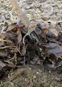 25 GENN 022